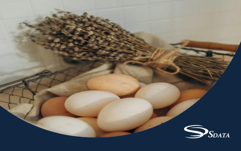 بازار تخم مرغ