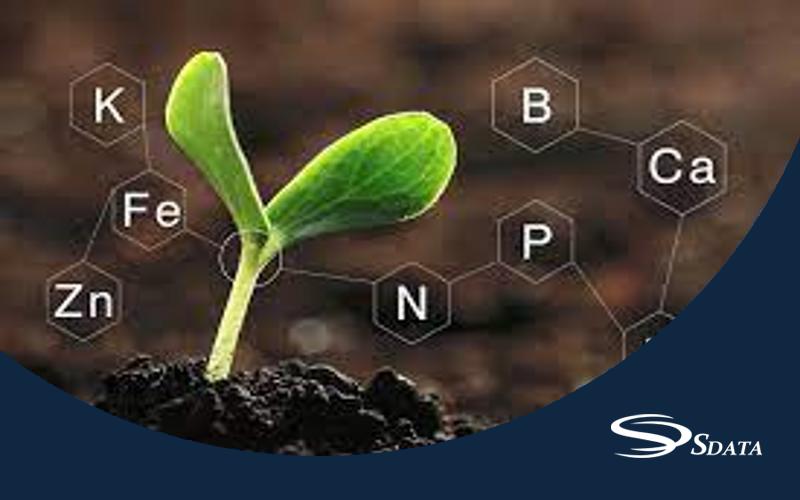 بازار کود و سموم در کشت گندم