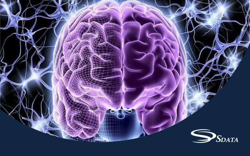 استفاده از توزیع نرمال در طراحی شبکه‌ های عصبی