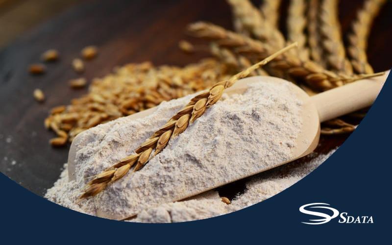 تحلیل جامع سهم بازار گلوتن گندم