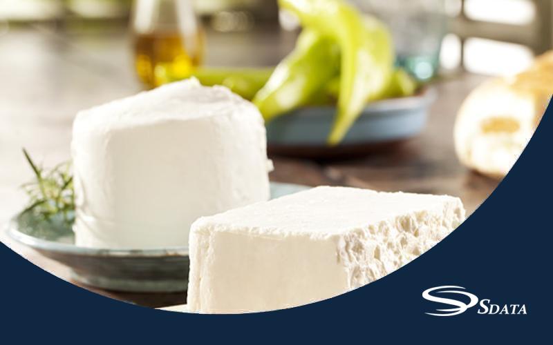 تحقیقات بازار پنیر